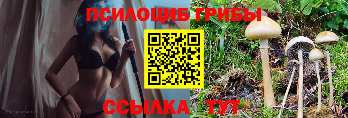 магазин продажи наркотиков  Вход с VPN  Белая Калитва  Галлюциногенные грибы Psilocybine cubensis 